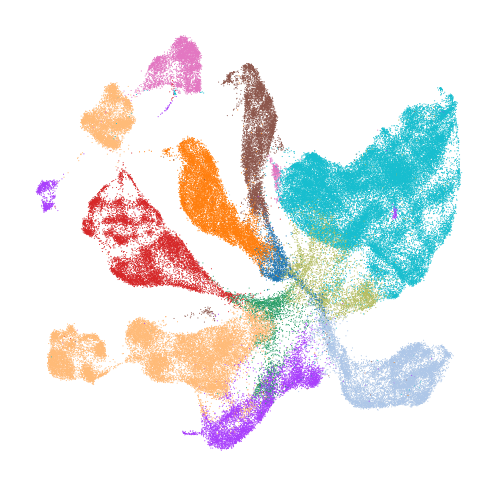 Organoids and human embryos